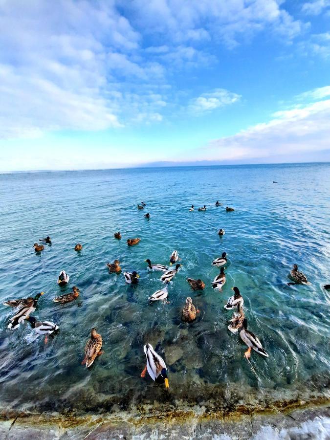 Harmónia Vendégház Balatonalmádi Esterno foto